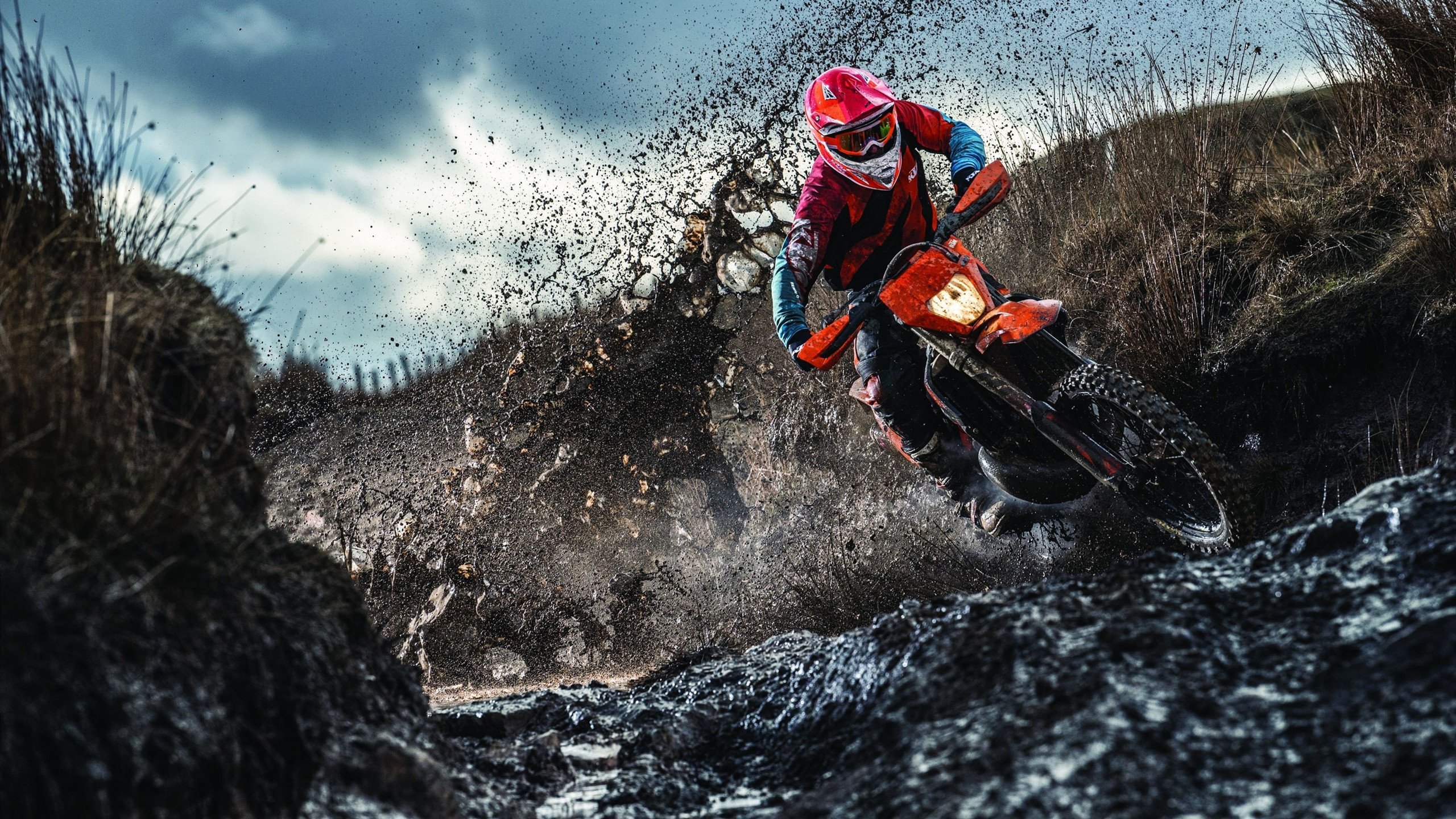 -小牛队后卫状态回升 带领球队迈向胜利,小牛队人员